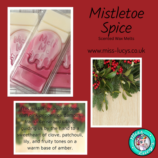 Mistletoe Spice scented Soy Wax Melts